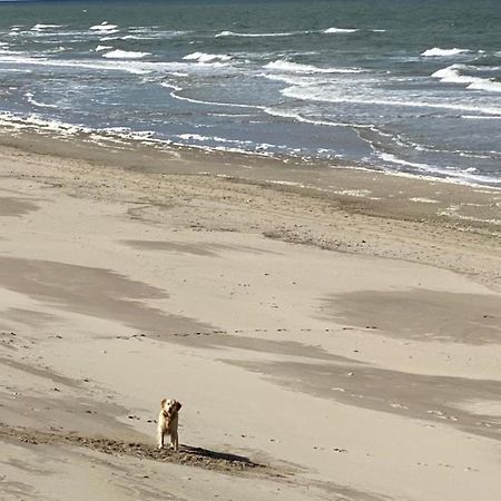 Natur Pur, O4 Neues Ferienhaus Natureingebunden, Familien- Und Hundefreundlich Eingezaeunt Каллантсог Екстер'єр фото